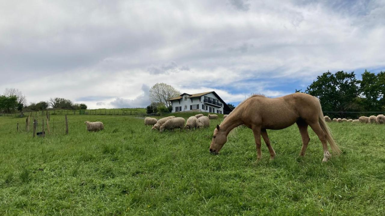 Amama Baita Urrugne Eksteriør bilde